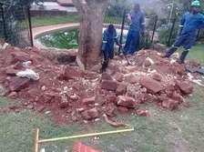 Professional Tree Cutting/Tree Experts |Tree Removal, Tree Trimming.
