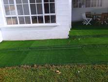 grass turf artificial grass