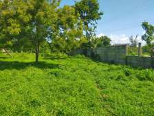 4,046.86 m² Land in Vipingo