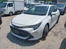 Toyota Corolla sports