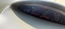 Nile Bank rides