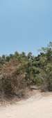 6 ac Land at Kizingo Jakaranda Road