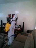 Bedbugs Fumigation Services