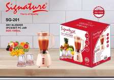 3 in 1 signature blender