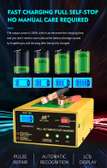 250W Power Full Automatic Car Battery Charger