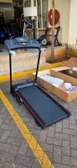 Domestic Treadmill