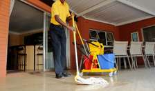 TOP 10 House Cleaning Services in Nyeri Town
