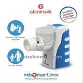 Nebzmart Complete Nebulization Kit