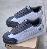 Puma Roma