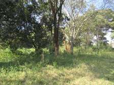 9 ac Land at Karen