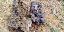 Lava rocks for fire grill n fish aquarium