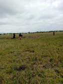 Prime plots for sale in kitengela