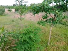 Plot for sale 50×100 free hold tittledeed