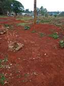 Very affordable plots in kikuyu
