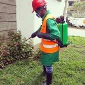 Fumigation and Pest Control Services Githurai