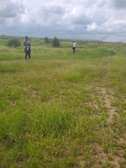 Affordable land for sale in Isinya