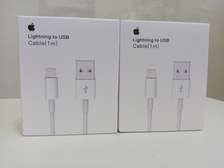 iPhone Lightning to USB Charging Cable-