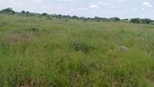 Affordable plots for sale at isinya kajiado county
