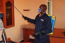Professional Fumigation and Pest Control Services In Ruaraka
