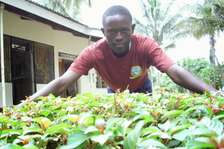 Bestcare Gardening Langata Karen Nairobi Ngumo South C