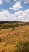 Prime 5acres in Central Dandora