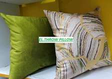 Fancy throw pillows