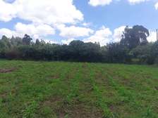 0.5 ac Land in Kikuyu Town