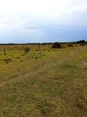 4 ac Land in Nanyuki