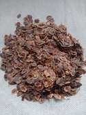 Greviella Robusta seeds(Mukima,Mubariti)