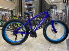 Firetrek fat bike size 26*4.0  Blue