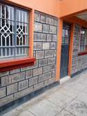 Cozy two-bedroom apartment in Nakuru East