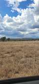 10 ac Land at Jisaidie