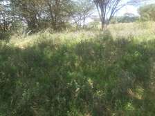 Lovely 4 Acre Land in Kiserian