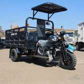 BOMBA LOADER 250W.