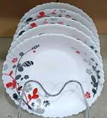 6Pcs Ceramic Dinner plates.