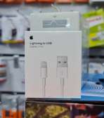 APPLE LIGHTNING TO USB CABLE