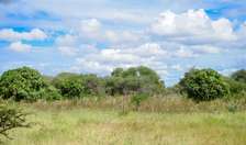 450 m² land for sale in the rest of Machakos