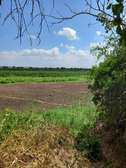 Over 20,000 Acres Are Available For Lease in Tana River