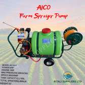 Aico petrol sprayer pump with 9hp engine and heavy-duty pump