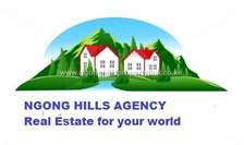 Ngong Hills Agency