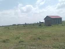 Discounted plots for sale in sabaki