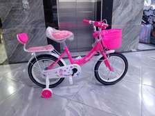 Hikiyung 16-inch Kids Bike Pink Training Wheels