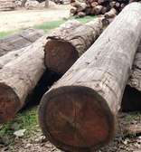 Mango hardwood timber & beams sale.