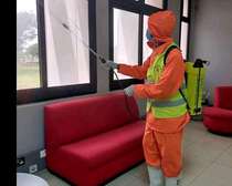 Bed Bugs Pest Control Services in Utawala