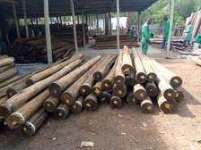 TREATED POLES/Fencing