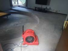 Best Carpet Drying Services In Nairobi