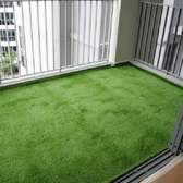 wonderful grass carpet.
