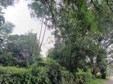 Residential Land at Runda