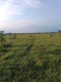 3 (50 by 100)  fertile land plots in Kamulu