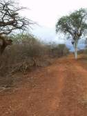 50 acres near ikoyo primary school makindu makueni county